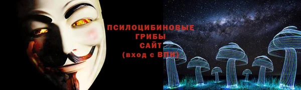 амф Алзамай