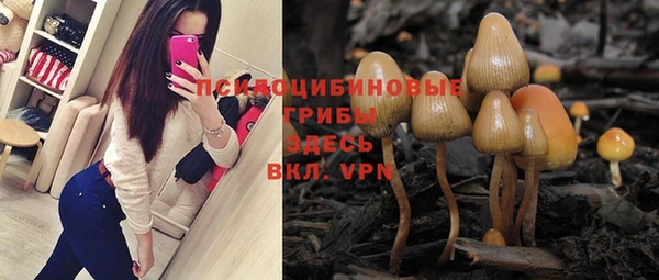 винт Алексин